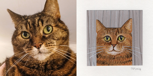 custom pet portraits paired images cat chloe