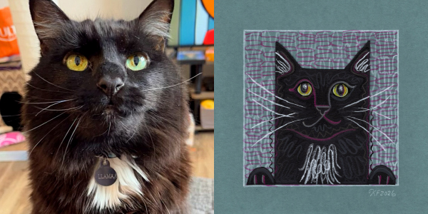 custom pet portraits paired images cat llama