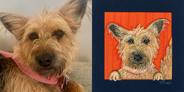 custom pet portraits paired images dog ella
