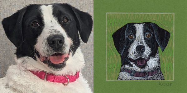 custom pet portraits paired images dog maggie