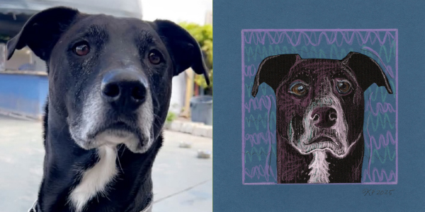 custom pet portraits paired images dog max