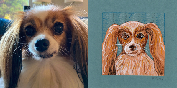 custom pet portraits paired images dog zeeva