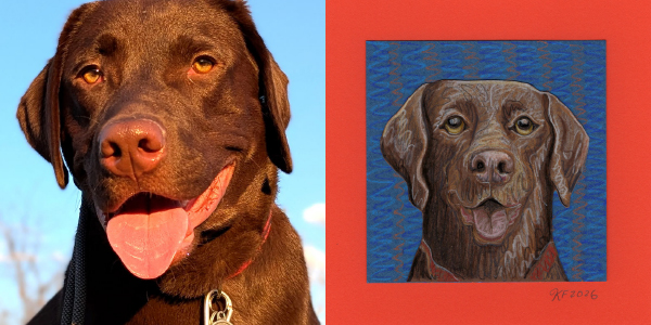 custom pet portraits paired images dog zuko